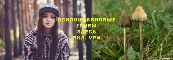Альфа ПВП Новозыбков